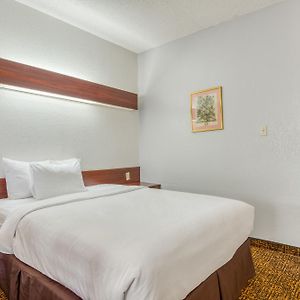 Premium Queen Bed